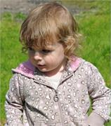 Little Hutter